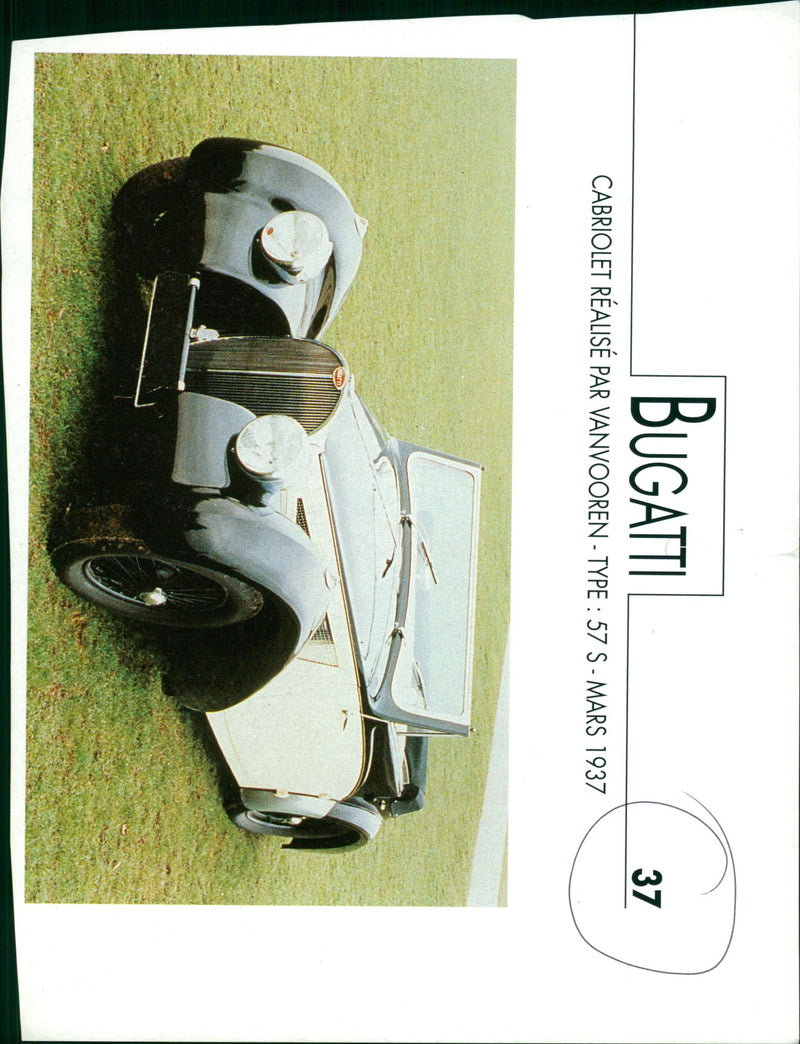 Bugatti cars 1937. - Vintage Photograph