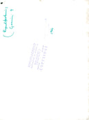 Grodmän at the Gemini 9-kapsel just after the landing in the Atlantic - Vintage Photograph