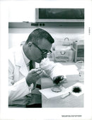 Richard B. Young is preparing an experiment with navy eggs on board Gemini - Vintage Photograph