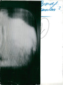 Gemini-4 - Vintage Photograph