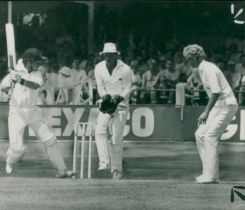 Cricket (1982) below botham and gatting. - Vintage Photograph