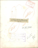 A Vertical Take off model. - Vintage Photograph