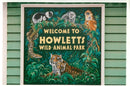 Howletts wild animals park. - Vintage Photograph