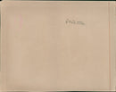 OVO MOOSE ANIMAL - Vintage Photograph