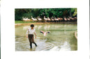 Flamingo Bird:Operation flamingo's. - Vintage Photograph