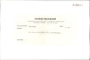 Animal,Cattle: Wild Cattle. - Vintage Photograph