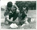 Animal Swiffer Dogs:John Davies. - Vintage Photograph