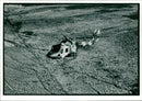 Lynx helicopter: - Vintage Photograph