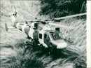Lynx helicopter: - Vintage Photograph