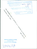 Lady Platt: - Vintage Photograph