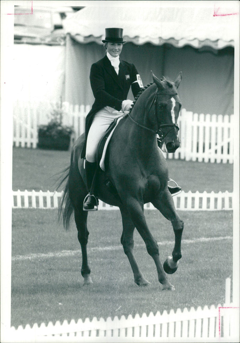 British equestrian Lucinda Green on horse 'Mins Lincoln' - Vintage Photograph