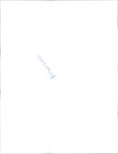 The pilot of the Lufthansa Airbus. - Vintage Photograph