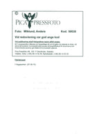 The butterfly house in Hagaparken. - Vintage Photograph