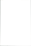 Kangaroo - Vintage Photograph