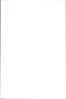 Kangaroo - Vintage Photograph