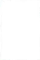 Kangaroo - Vintage Photograph