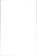 Kangaroo - Vintage Photograph