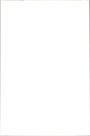 Kangaroo - Vintage Photograph