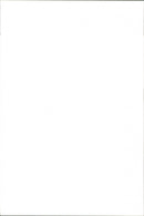 Animal: Dog fights - Vintage Photograph