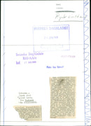 Real Animals Dogs Russian Greyhound - Vintage Photograph