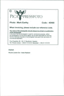 Elephants Indian - Vintage Photograph