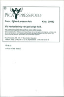 Elephants Indian - Vintage Photograph