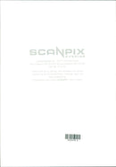 Elephants Indian - Vintage Photograph