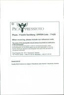 Suede, Brett Anderson on stage - Vintage Photograph