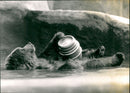 The Bear with a Beer Bar - Vintage Photograph
