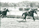 Horse Silvestro canter with Fernando Diaz in the saddle wins Stockholm Cup at Täby - Vintage Photograph