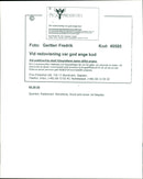 Dogs. - Vintage Photograph