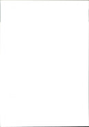 Dogs. - Vintage Photograph