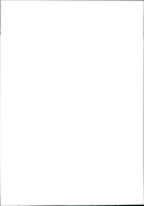 Dogs. - Vintage Photograph