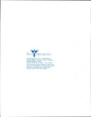 Dogs. - Vintage Photograph