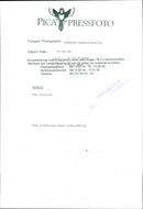 Fox Terrier, Dogs - Vintage Photograph