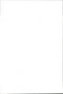 Dogs. - Vintage Photograph