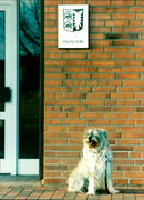 Animal Dogs - Vintage Photograph