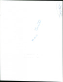 Dogs - Vintage Photograph