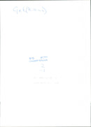 Animal: Sheep - Vintage Photograph