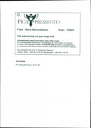 David Bowie At the Lollipop Festival. - Vintage Photograph