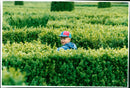 RUNAWAY GIRL PICS HUTCHISON SALLY MCGRATH SAFE HOME AFTER - Vintage Photograph