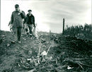 FEW FULL AFTER THISVARET DECADES JUST RUNAWAY GRENADES AND - Vintage Photograph