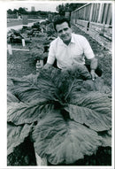 Bernard Lavery - Vintage Photograph