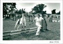 Llama - Vintage Photograph