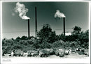 Pollution - Vintage Photograph