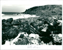 Pollution - Vintage Photograph