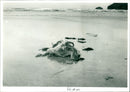 Pollution - Vintage Photograph