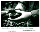 Exxon Valdez - Vintage Photograph