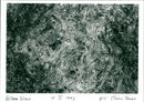 Elvers - Vintage Photograph