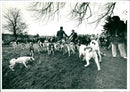 Hunt - Vintage Photograph